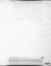 Stemphylium vesicarium image